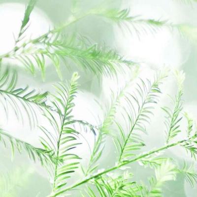 地球英雄手游(暂未上线)v1.2 安卓版