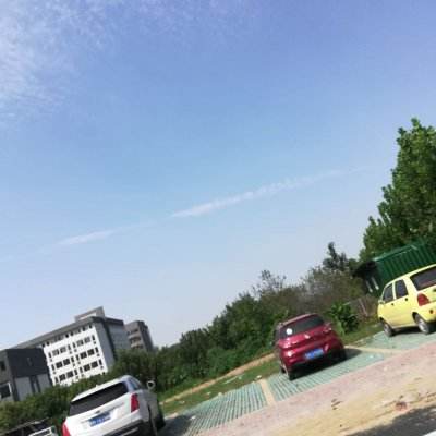 宠物起源手游官方版下载